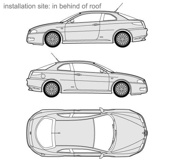 Les décorations aériennes de voiture en plastique noire ont adapté la voiture d'Uinversal, antenne d'autoradio